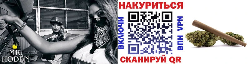 Купить закладки  Бирюсинск  Бошки марихуана семена 